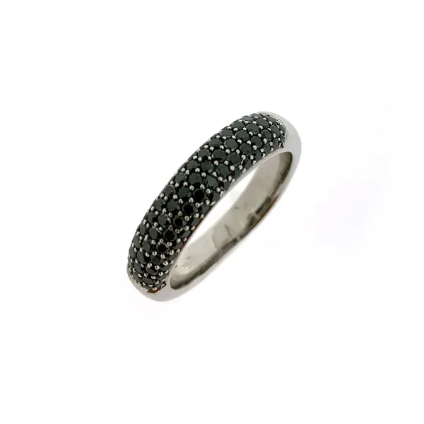 Verwachting Veranderlijk Silicium Witgouden ring met zwarte diamant - Juweliershuis Aalbers