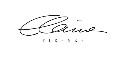 Elaine Firenze